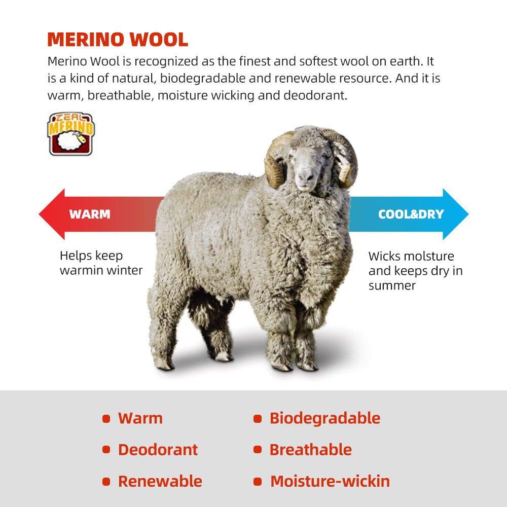 ZEALWOOD Merino Wool Running S - مراجعة Wool Hiking Sock وسعره