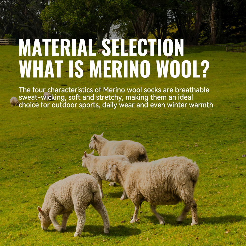 WRELS 1/2/3 Merino Wool Socks  - مراجعة Wool Hiking Sock وسعره